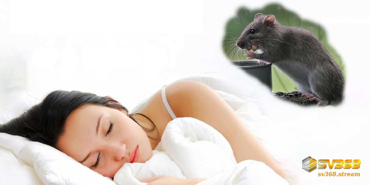 Mơ thấy chuột nên đánh số gì để đổi đời?